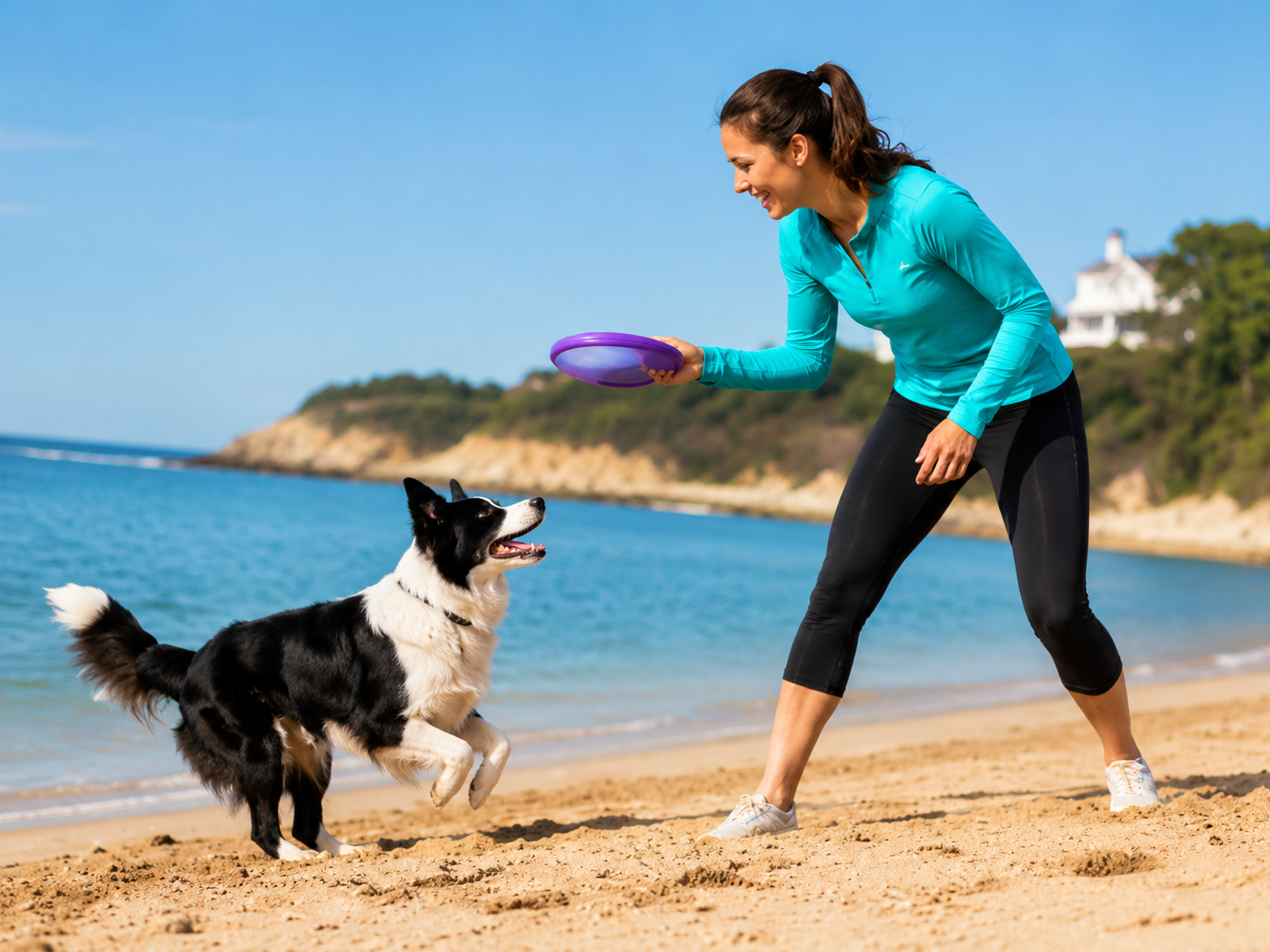 Dog Owner's Handbook cover